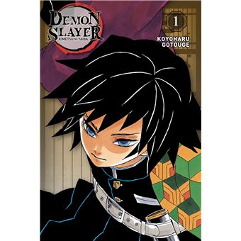 Manga Demon Slayer Edition Pilier
