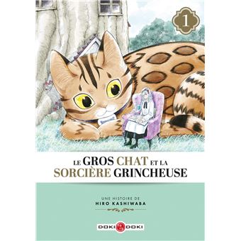 Manga Le Gros Chat et la Sorcière Grincheuse